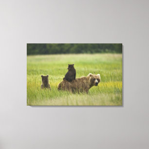 Lienzo Estados Unidos, Alaska, Parque Nacional Lake Clark