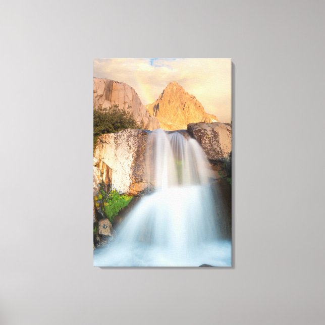 Lienzo Estados Unidos, California, Bosque Nacional Inyo.  (Anverso)