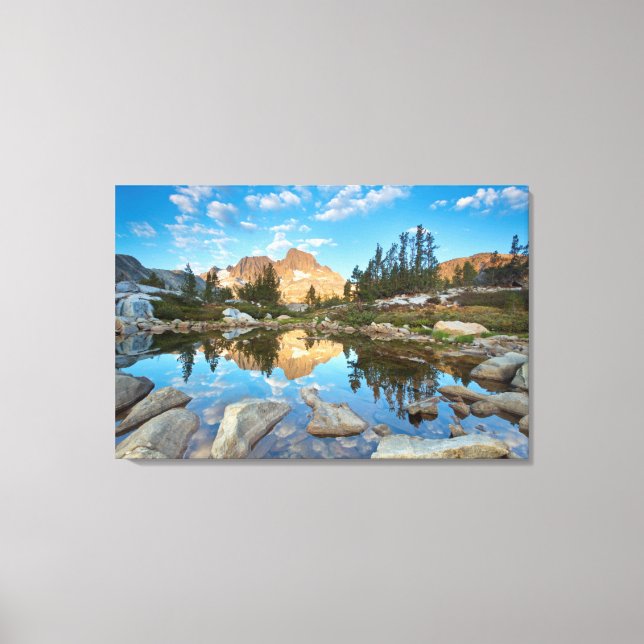 Lienzo Estados Unidos, California, Bosque Nacional Inyo.  (Anverso)