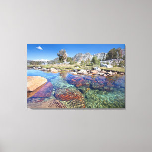 Lienzo Estados Unidos, California, Bosque Nacional Inyo 4