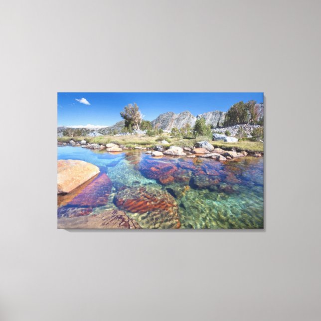 Lienzo Estados Unidos, California, Bosque Nacional Inyo 4 (Anverso)