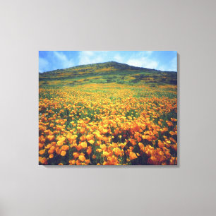 Lienzo Estados Unidos, California, Lago Elsinore.Californ