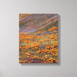 Lienzo Estados Unidos, California, Montañas Tehachapi, 2