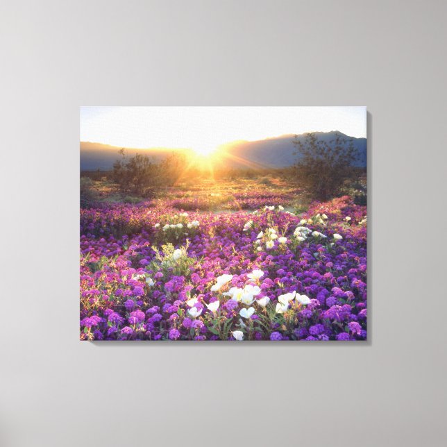 Lienzo Estados Unidos, California, Parque Estatal del Des (Anverso)