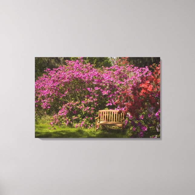 Lienzo Estados Unidos; Carolina del Sur; Charleston; (Anverso)