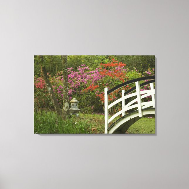 Lienzo Estados Unidos; Carolina del Sur; Charleston; 5 (Anverso)