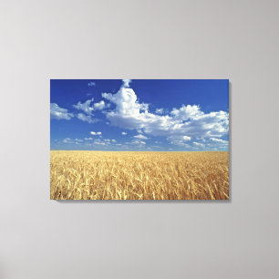 Lienzo Estados Unidos, Estado de Washington, Colfax. Trig