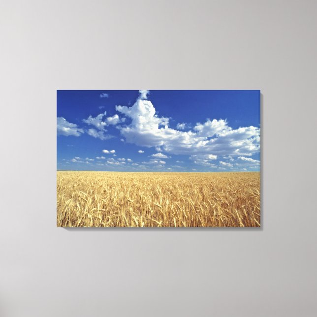 Lienzo Estados Unidos, Estado de Washington, Colfax. Trig (Anverso)