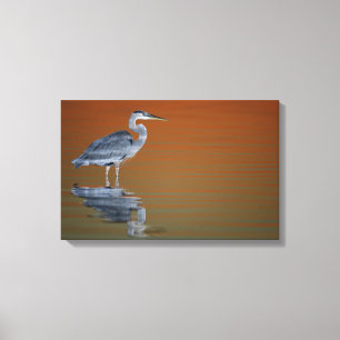 Lienzo Estados Unidos, Florida, San Petersburgo, Fort De 