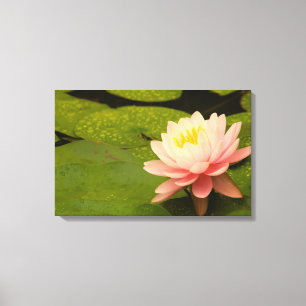 Lienzo Estados Unidos, Maryland, Westminster, Unión