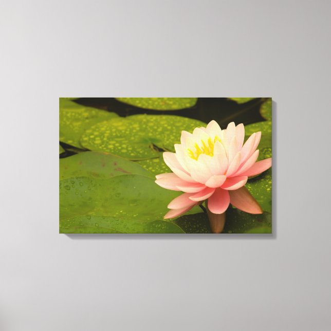 Lienzo Estados Unidos, Maryland, Westminster, Unión (Anverso)