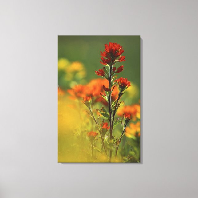 Lienzo Estados Unidos, Michigan, Isla Drummond, Llanuras  (Anverso)