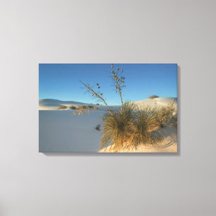 Lienzo Estados Unidos, Nuevo México, White Sands Nationa