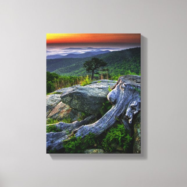 Lienzo Estados Unidos, Virginia, Parque Nacional Shenando (Anverso)