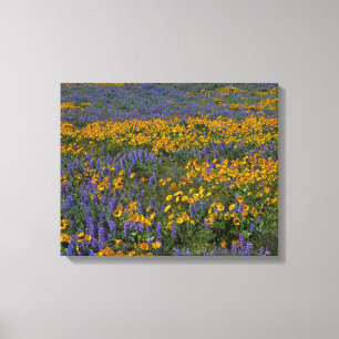 Lienzo Estados Unidos, Washington, Columbia River Gorge N