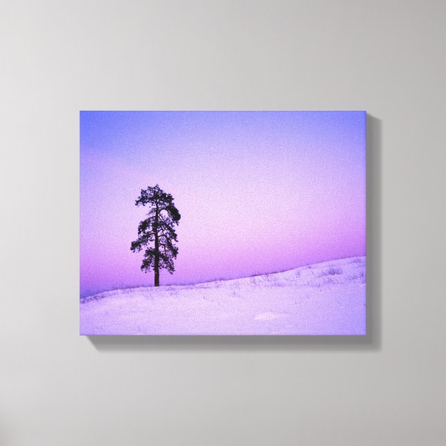 Lienzo Estados Unidos, Washington, condado de Spokane, Ri (Anverso)