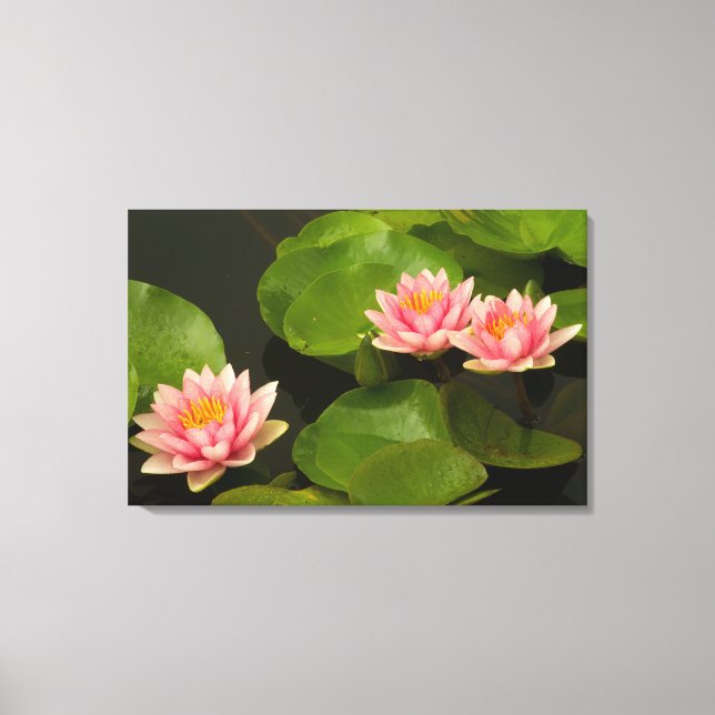 Lienzo Estados Unidos, Washington, Kenilworth 4 (Anverso)