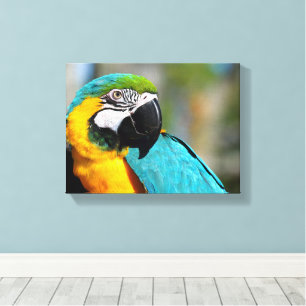 Lienzo Estampa de Guacamayo, Papel de Cartel de Valor (Ma
