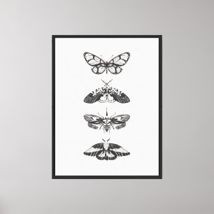 Lienzo Estampado de mariposas