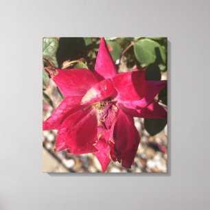 Lienzo estampado floral grisforaday rojo