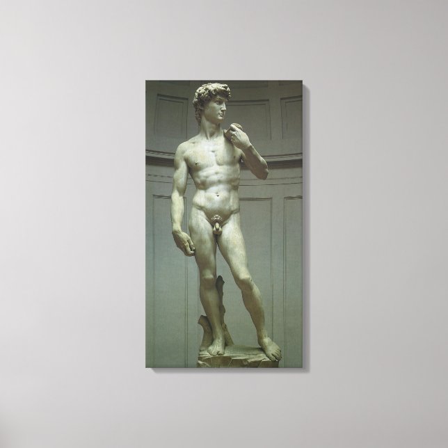 Lienzo Estatua de David de Miguel Ángel (Anverso)