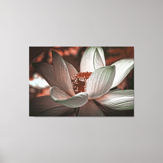 Lienzo Estilo de flor de Lotus (Anverso)
