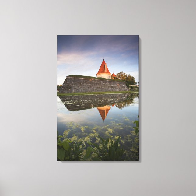 Lienzo Estonia, Islas Estonia Occidental, Saremaa (Anverso)