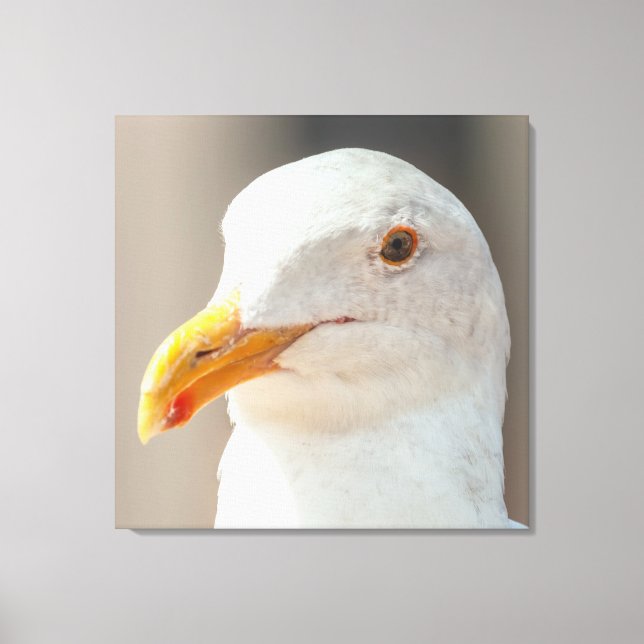 Lienzo Estrella (Anverso)