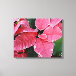 Lienzo Estrella plateada de mármol Poinsettias Flor de va