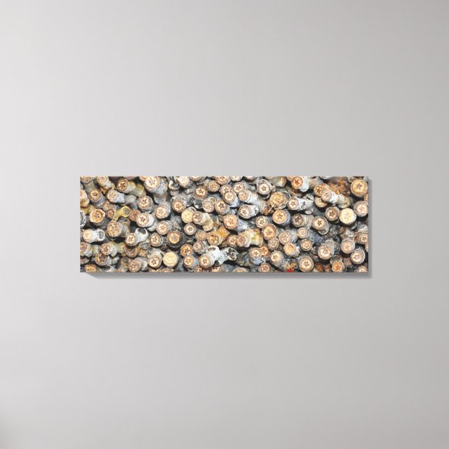 Lienzo Estrellas a lo largo de los árboles de madera de a (Anverso)