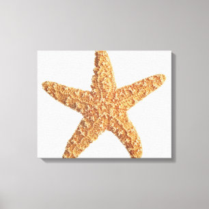 Lienzo Estrellas de mar aisladas en blanco