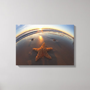 Lienzo Estrellas de mar en la playa