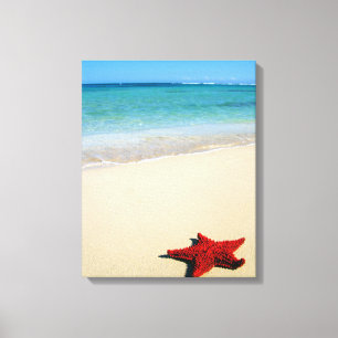 Lienzo Estrellas de mar rojas en la playa blanca de la