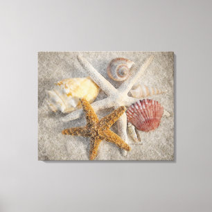Lienzo Estrellas de mar/Shell/de la arena todavía de la