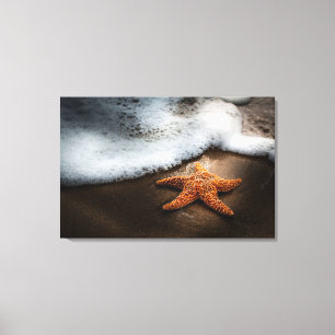 Lienzo Estrellas de mar solas en la playa
