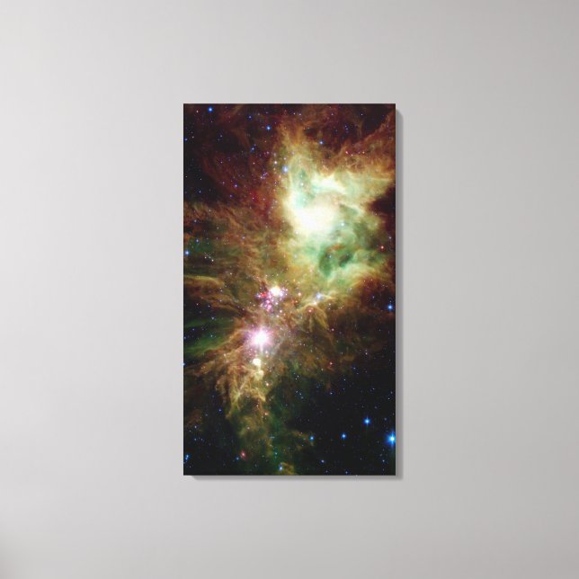 Lienzo Estrellas recién nacidas en el grupo del árbol de  (Anverso)