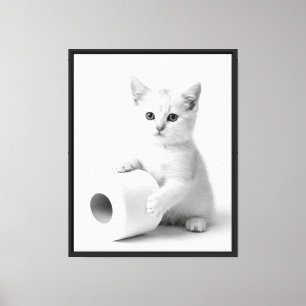 Lienzo Estudio de Fotografía de Gato Blanco Minimalista D