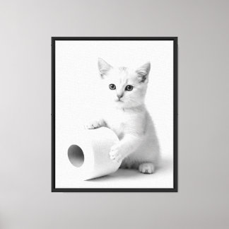 Lienzo Estudio de Fotografía de Gato Blanco Minimalista D