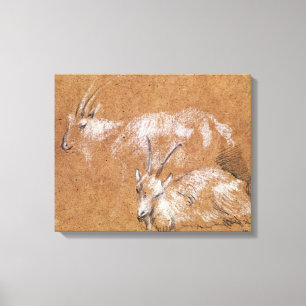 Lienzo Estudio de las cabras (dibujo)