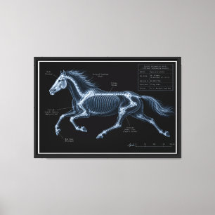 Lienzo Estudio de movimiento de galope de caballo con ray
