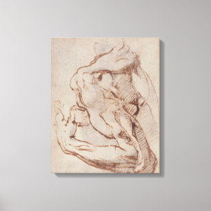 Lienzo Estudio de un brazo Inv.1859/5/14/819
