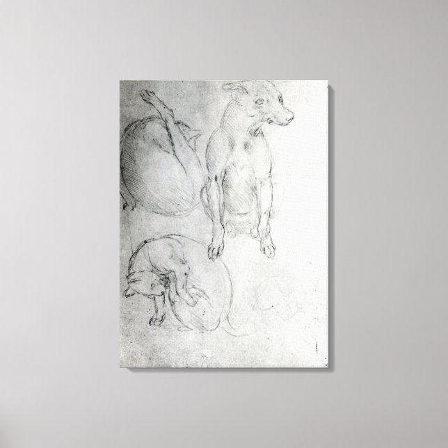 Lienzo Estudio de un perro y un gato, c.1480 (Anverso)