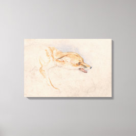 Lienzo Estudio de un Zorro de Crouching (por John Frederi