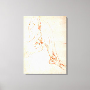 Lienzo Estudio de una pierna y de un pie más bajos