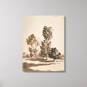 Lienzo Estudio del árbol (pluma y tinta en el papel)