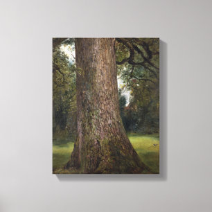 Lienzo Estudio del tronco de un árbol de elmo, c.1821 (ac