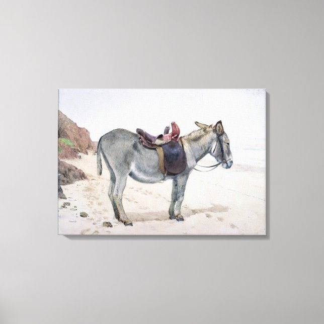 Lienzo Estudios de animales (Anverso)