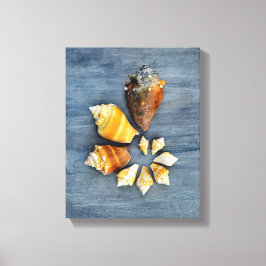 Lienzo Etapas de la vida