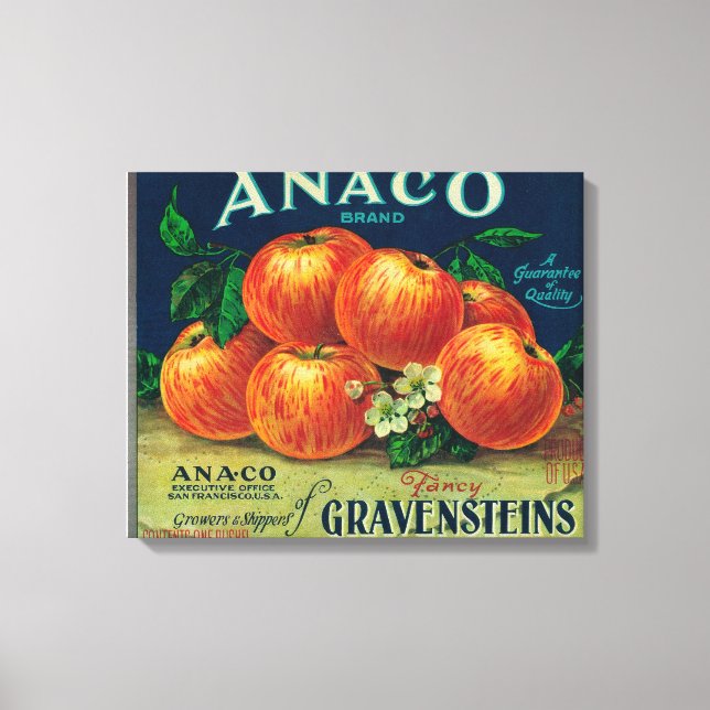 Lienzo Etiqueta de canal de Apple de Anaco (Anverso)