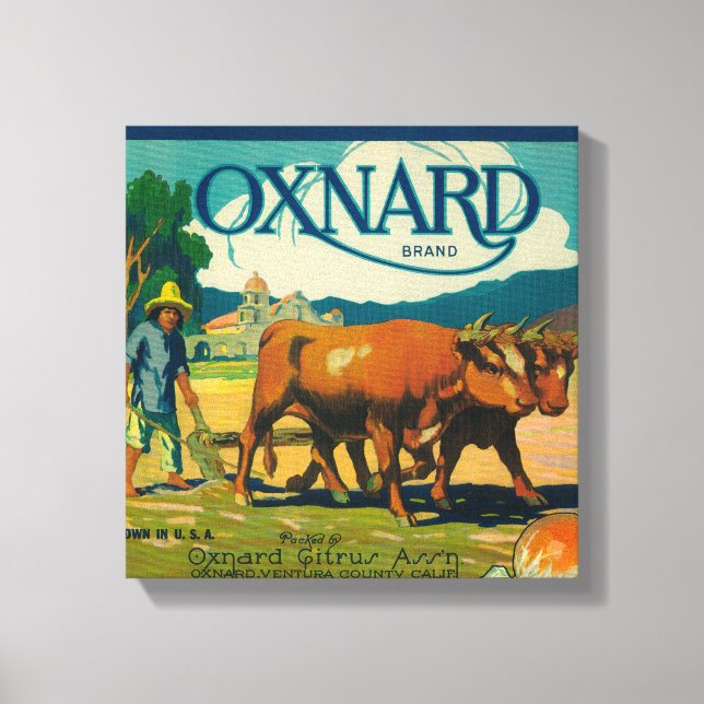 Lienzo Etiqueta de Naranja de OxnardOxnard, CA (Anverso)